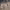 https://res.cloudinary.com/billionhands/image/upload/v1775209592/items/swpq4uhhe8ibwyqzsshz.jpg-2cover