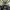 Grandoure (Madrid, Valladolid) cover