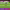 https://res.cloudinary.com/billionhands/image/upload/v1775209684/items/n4gpznuzuiwvo7eozesw.webp-0cover