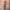 https://res.cloudinary.com/billionhands/image/upload/v1775209706/items/ax1fotim4kh7t619i2so.webp-3cover