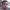 VEGETTA777 (Samuel de Luque) cover