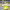 https://res.cloudinary.com/billionhands/image/upload/v1775209800/items/bhrfdt9impajz7uxcu19.jpg-1cover