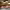 https://res.cloudinary.com/billionhands/image/upload/v1775209891/items/j9ekfxckceege32ueiwb.jpg-2cover
