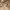 https://res.cloudinary.com/billionhands/image/upload/v1775209931/items/wlqpoowr3eekhth0axe0.webp-0cover