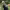 Dustin Johnson cover