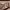 https://res.cloudinary.com/billionhands/image/upload/v1775210133/items/zp0chdxnmhfmdbg4hcqe.webp-1cover