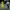 https://res.cloudinary.com/billionhands/image/upload/v1775210965/items/wkf3dz9zfvwo0sqlkep1.jpg-1cover