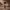 https://res.cloudinary.com/billionhands/image/upload/v1775215445/items/s2ysyy7ioww1blmdytit.webp-0cover