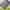 https://res.cloudinary.com/billionhands/image/upload/v1775215455/items/ngalh2rr6lvykadd4v1j.jpg-0cover