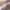 https://res.cloudinary.com/billionhands/image/upload/v1775215456/items/rxcz1biryxpfzrk6vctg.jpg-2cover