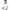 https://res.cloudinary.com/billionhands/image/upload/v1775216524/items/nvymegcofhhmhj2rzszk.webp-2cover