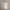 https://res.cloudinary.com/billionhands/image/upload/v1775216723/items/lcki8rfmuznda7y59sfj.avif-3cover