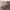 https://res.cloudinary.com/billionhands/image/upload/v1775216728/items/tpsygf2l3taysgo7ulxv.jpg-0cover