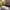 https://res.cloudinary.com/billionhands/image/upload/v1775217401/items/kxqo0tcak2uahxvu019y.jpg-1cover
