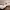 https://res.cloudinary.com/billionhands/image/upload/v1775217404/items/wwa749h8vmei3jj0wlu3.jpg-3cover