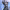 Newcastle (Apex Legends) cover