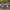https://res.cloudinary.com/billionhands/image/upload/v1775217785/items/cyiu7an6qza6bnneyglu.jpg-0cover