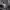 https://res.cloudinary.com/billionhands/image/upload/v1775217822/items/onq1raxcdmvyjes0byz0.jpg-2cover