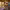 https://res.cloudinary.com/billionhands/image/upload/v1775218611/items/otemoatr56nsbw9yctld.jpg-3cover