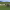https://res.cloudinary.com/billionhands/image/upload/v1775219878/items/sffhhy3afuxzzbcqdy4w.jpg-0cover