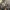 https://res.cloudinary.com/billionhands/image/upload/v1775221241/items/wjxsbrae35kst8hgkyqb.jpg-2cover