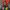 https://res.cloudinary.com/billionhands/image/upload/v1775222438/items/uomsiwqn4m9niwfix03n.jpg-0cover