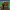 https://res.cloudinary.com/billionhands/image/upload/v1775223597/items/ybbz0j6vtvjsgid9n6y5.jpg-0cover
