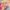 https://res.cloudinary.com/billionhands/image/upload/v1775225359/items/wz6nmcq8pxsltcvxlqx2.webp-1cover