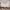 https://res.cloudinary.com/billionhands/image/upload/v1775226780/items/gowmmxklh38qampwcc4m.png-0cover