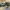 https://res.cloudinary.com/billionhands/image/upload/v1775226797/items/m63coj15k4jmpsvytg1m.jpg-0cover