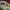 https://res.cloudinary.com/billionhands/image/upload/v1775227698/items/zlbnlbkbn6ghih50r6ox.jpg-0cover