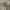 https://res.cloudinary.com/billionhands/image/upload/v1775227706/items/jpyjtylry6vzsil6vh3j.jpg-3cover