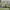 https://res.cloudinary.com/billionhands/image/upload/v1775227721/items/t6rhoalddxort83ldh4c.webp-2cover