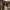https://res.cloudinary.com/billionhands/image/upload/v1775233961/items/szy2supa0nd48yejskul.jpg-0cover