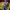 https://res.cloudinary.com/billionhands/image/upload/v1775233973/items/ljvca1xrc4vpbj58afjn.jpg-3cover