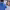 Clinics specializing in low-dose mammography cover
