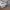 https://res.cloudinary.com/billionhands/image/upload/v1775235305/items/qbductdgsz9sjksygwf5.webp-1cover