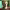 https://res.cloudinary.com/billionhands/image/upload/v1775236520/items/ypkcamjte6c5qletree1.jpg-1cover
