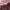https://res.cloudinary.com/billionhands/image/upload/v1775242338/items/syuaklni8xeaj3ygpj01.jpg-2cover