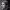 https://res.cloudinary.com/billionhands/image/upload/v1775242564/items/am3jpebaq28c9fvc5ygp.jpg-2cover