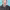 https://res.cloudinary.com/billionhands/image/upload/v1775245674/items/pfqch0soqvyjzefjhres.jpg-0cover