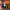 John Larroquette (5 Premios Emmy) cover