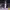https://res.cloudinary.com/billionhands/image/upload/v1775245701/items/wl9epnmmansuxioenyra.jpg-2cover
