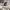 https://res.cloudinary.com/billionhands/image/upload/v1775245731/items/y1tbz62mxuyeyhp9blz9.jpg-1cover
