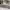https://res.cloudinary.com/billionhands/image/upload/v1775245732/items/uv3uo7jpa8jdz4x3owgg.png-2cover
