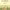 https://res.cloudinary.com/billionhands/image/upload/v1775246006/items/swricupydaj9hpms9gi8.jpg-1cover