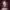 https://res.cloudinary.com/billionhands/image/upload/v1775246242/items/qn86alh1hsgofhdgrbhm.jpg-0cover