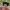 https://res.cloudinary.com/billionhands/image/upload/v1775246242/items/znn3ot6cwmf3gwe8lnqt.webp-3cover