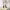 https://res.cloudinary.com/billionhands/image/upload/v1775247208/items/ns00ijj4zlqfghs7butz.webp-3cover