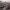 https://res.cloudinary.com/billionhands/image/upload/v1775248450/items/lu2wffljeo56ygvp6ztp.jpg-3cover